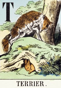 T : Terrier - The Hunting Alphabet，c.1890（雕刻） 作者 不明