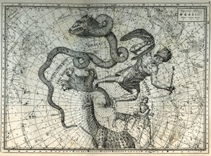 北极附近的星座。小熊、龙、塞菲、长颈鹿、驯鹿和梅西尔。雕刻自Camille Flammarion的 "Les étoiles et les autres curiosites du ciel"。 作者 不明
