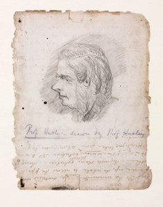 Thomas Henry Huxley, English biologist, mid-late 19th century 作者 不明