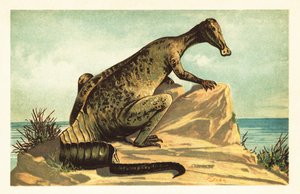 Trachodon mirabilis，已灭绝的鸭嘴龙恐龙。1908 年（石版画） 作者 未知艺术家