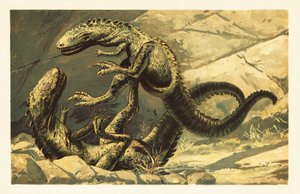两只正在战斗的Dryptosaurus aquilunguis.1908（石版画） 作者 未知艺术家