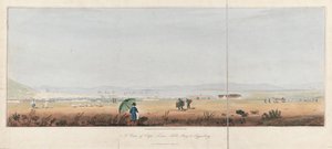 开普敦、桌湾和泰格贝格山（南非）景观。石版画（26.5x53.5 厘米），J.W. Burchell 绘 作者 未知艺术家