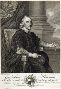 William Harvey, English physician 作者 不明
