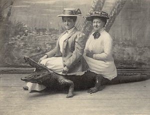 坐在鳄鱼毛绒玩具上的妇女，约 1905 年（黑白照片） 作者 未知艺术家