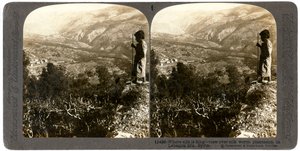 1900年代，叙利亚黎巴嫩山区的一个蚕桑种植园。 作者 安德伍德和安德伍德