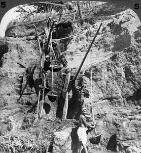 1905年，埃及沙丘夫（Shaduf）将尼罗河水提升到口渴的田野。