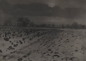 雪下的白菜田 作者 不明