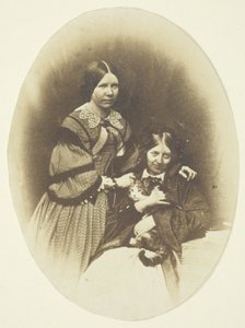 克莱克夫人抱着猫 作者 不明