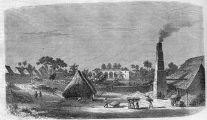 1869年，古巴岛上的一家糖果厂。 作者 未知艺术家