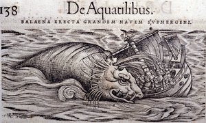 鲸鱼破坏了船体并导致其沉没。 雕刻 n Historia Animalium by Conrad Gesner (1516 - 1565)，提古里 作者 未知艺术家