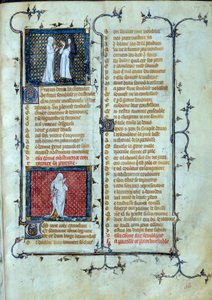 让·德·梅恩、让·德·梅昂或让·肖皮内尔、让·克洛皮内尔 (v.1240-1305)，约 1370 年，在“罗马德拉玫瑰”中的禁欲微型人物下，爱玩马勒布什的陷阱的寓言表现。 巴黎，圣哥图书馆 作者 未知艺术家