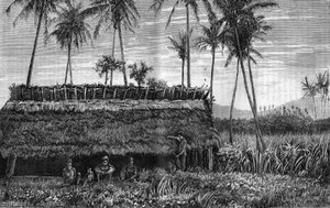 新喀里多尼亚（New Caledonia）的卡纳克人在一个箱子或一个会议厅前。在 "La Nature "中的雕刻 作者 未知艺术家