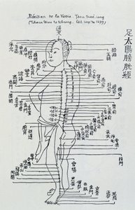 Chinese acupuncture: the meridian of the bladder 作者 未知艺术家