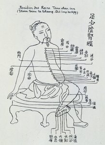 中医针灸：肾经 作者 未知艺术家