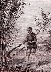 砍竹，中国的造纸术（公元前 3 世纪）（雕刻 作者 未知艺术家