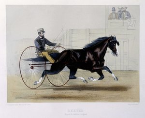 Dexter trotteur - 在“”The centaur”” 作者 未知艺术家