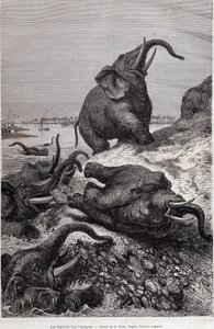 Elephants climbing the bank of a river, in account of an expedition to Central Africa commissioned by Sir Samuel White Baker, “Tour du monde” 作者 未知艺术家