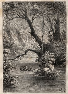 亚历山大-冯-洪堡（1769-1859）和艾梅-邦普朗（1773-1858）对美洲的考察（1799-1804）：探险家们从奥伦诺克河下来，周围是亚马逊森林的巨树（委内瑞拉卡诺-皮米钦）--插图来自《伟大的 作者 未知艺术家