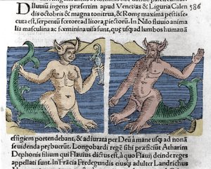 Fantastic creatures: A newt and a siren seen in the Nile. Engraving from “” Le livre des prodiges”” (Prodigiorum ac ostentorum Chronicon Basileae) by Wolfhart (Conrad Lycosthene) 1557 作者 未知艺术家