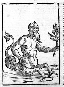 Glaucos带着能让他在海里生活的魔草--在Mythologiae sive explicationis fabularum de Natalis Comitis。Patavia 作者 未知艺术家