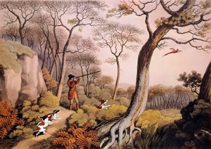 在英国狩猎野鸡。 19 世纪雕刻。 Gien，狩猎博物馆 作者 未知艺术家