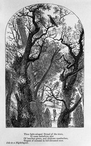 Illustration for “” Ode to a nightingale”” by the poet John Keats (1795-1821) 19th century 作者 未知艺术家