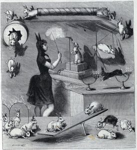 Les rabbits dresses du Nouveau Cirque in Paris: 穿着兔子服装的tampter在教动物的不同数字。1890年 "自然 "杂志上的版画。私人收藏。 作者 未知艺术家