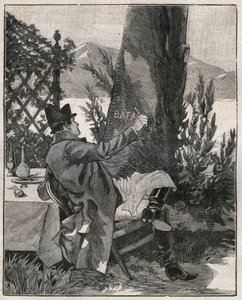 拿破仑-波拿巴（1769-1821）在1800年马焦雷湖（Lago Maggiore）的贝拉岛（Isola Bella）的一棵月桂树的树干上写下了 "Battaglia "这个词，这是在马伦戈战役的前三天。1885年在 "Les arts et metiers illustrstres "中的雕版画 作者 未知艺术家
