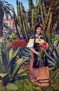 尼科塞岛1930 年左右的明信片。尼斯市档案馆。 作者 未知艺术家