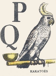 PQ：kakatoes 作者 未知艺术家