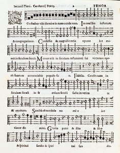 Page of musical score of Confitebor tibi dominine psalm dedicated to Palestrina by Costanzo Porta 作者 未知艺术家