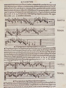 本页摘自弗兰奇诺-加弗里奥的《音乐实践》（Practica Musicae）。 作者 未知艺术家