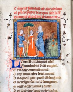 "来自 Guillaume de Lorris（约 1200-1238）和 Jean de Meun（Meung）（1240-1305）手稿 "Le Roman de la Rose "的插图页，约 1365 年 芝加哥大学图书馆 美国 作者 未知艺术家