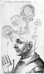 罗伯特-弗劳德（Robertus de Fluctibus）的Collectio Operum中的相貌学图像（膈肌学）。伦敦 1617年 作者 未知艺术家