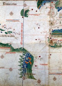 Cantino 平面：1502 年的 Alberto Cantino 地图，代表葡萄牙和西班牙美洲之间的 Tordesillas 条约（1494 年）规定的边界线。 埃斯滕斯图书馆。 摩德纳 作者 未知艺术家