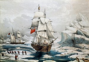 北极极地探险：英国和美国船只被困在冰中（19 世纪印刷品） 作者 未知艺术家