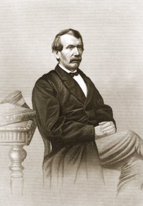 大卫-利文斯通（1813 - 1873）的画像。 作者 未知艺术家