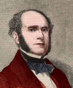 菲茨-格林（Fitz Greene）-哈勒克（1790-1867）的画像，美国诗人。雕刻于1858年1月23日的 "伦敦新闻插图"。 作者 未知艺术家