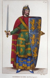 Geoffroy V dit Le Bel 或 Plantagenêt Comte d