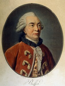 乔治·路易斯·勒克莱尔 (Georges Louis Leclerc) 的肖像，布冯伯爵 (1707 - 1788)，法国博物学家和作家。 作者 未知艺术家