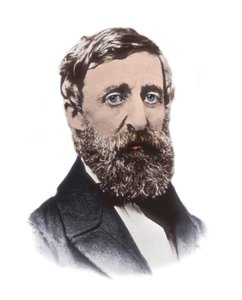 亨利-戴维-梭罗（1817-1862）的肖像--美国散文家、诗人、哲学家、废奴主义者、自然主义者、抗税者、发展评论家、测量师和历史学家 作者 未知艺术家