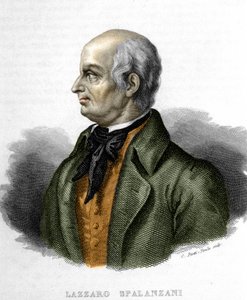 意大利生物学家 Lazzaro Spalanzani (或 Spallanzani) 的肖像 (1729 - 1799) 作者 未知艺术家