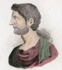 庞培大帝的肖像（Gneo Pompeo Great 或 Pompey 作者 Unknown artist