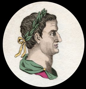 罗马皇帝Servius Sulpicius Galba（公元前3年-公元69年）的肖像。19世纪的雕版画 作者 未知艺术家