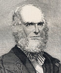 威廉-卡伦-布莱恩特（1794-1878）的肖像，美国诗人。雕刻在1858年1月23日的 "图解伦敦新闻 "中。 作者 未知艺术家