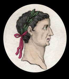 罗马皇帝提比略 (Tiberius Claudius Nero)（公元前 42 年至公元 37 年）的肖像。 19 世纪的雕刻。 作者 未知艺术家