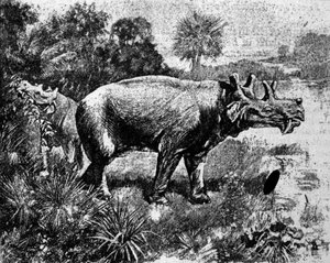 史前史：代表四角的 Uintatherium 恐龙。 作者 未知艺术家
