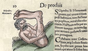 山椒鱼怪物的代表 雕刻自沃尔夫哈特（Conrad Lycosthene）的 "The Book of Prodigiorum ac ostentorum Chronicon Basileae" 1557年 作者 未知艺术家