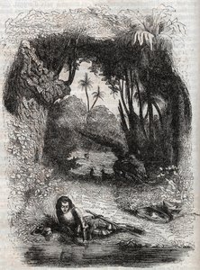 阿尔西纳岛上的鲁吉罗，--1851年雕刻自路多维科-阿里奥斯托的诗作《奥兰多-弗里奥斯》（1516年），--由特雷桑伯爵从意大利语翻译并由古斯塔夫-哈佛1851年出版的版本。 作者 未知艺术家