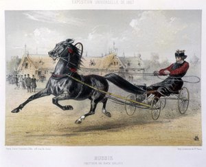 俄罗斯：Orloff 品种的猪蹄——在 1867 年的“The Centaur”中 作者 未知艺术家
